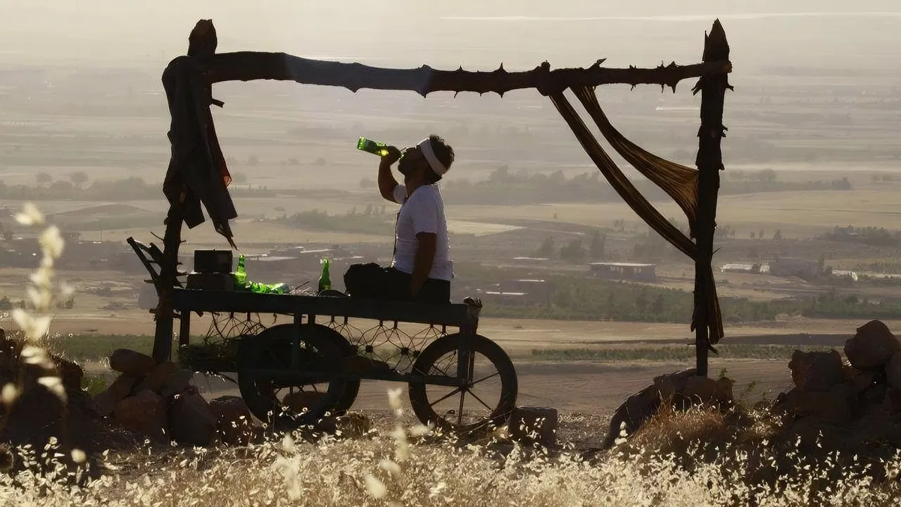 Burned Nests backdrop