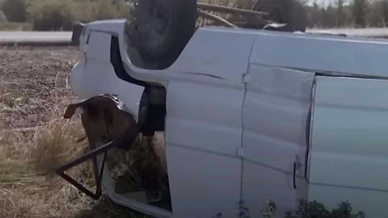 A Summer to Remember backdrop