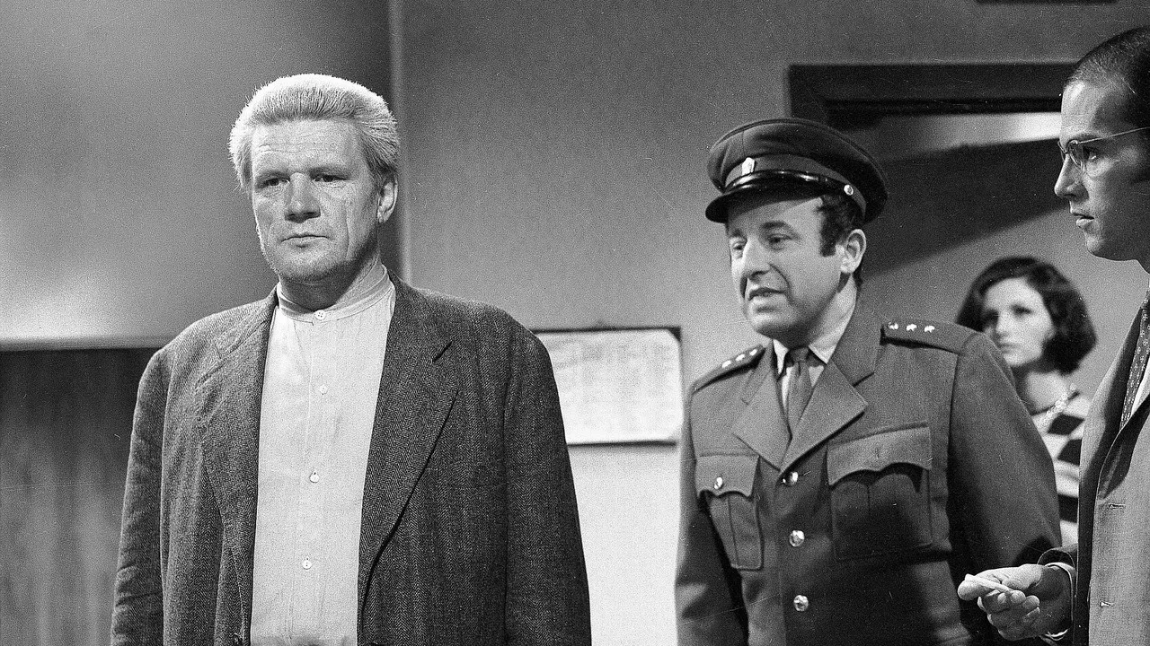 Dlouhé dopoledne backdrop