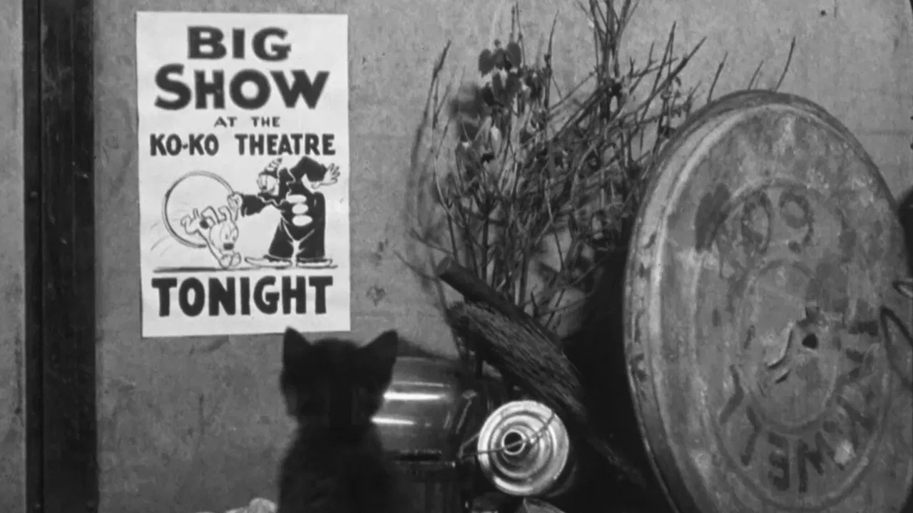 It's the Cat's backdrop