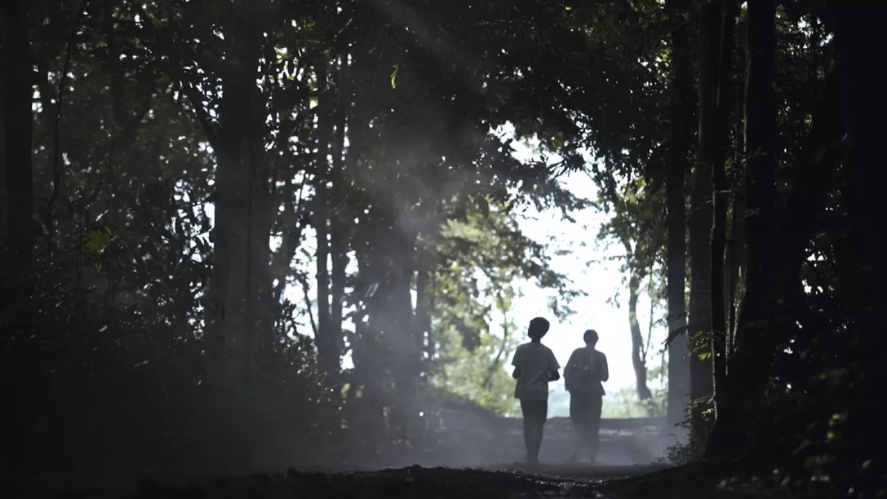 Mist of the Past backdrop