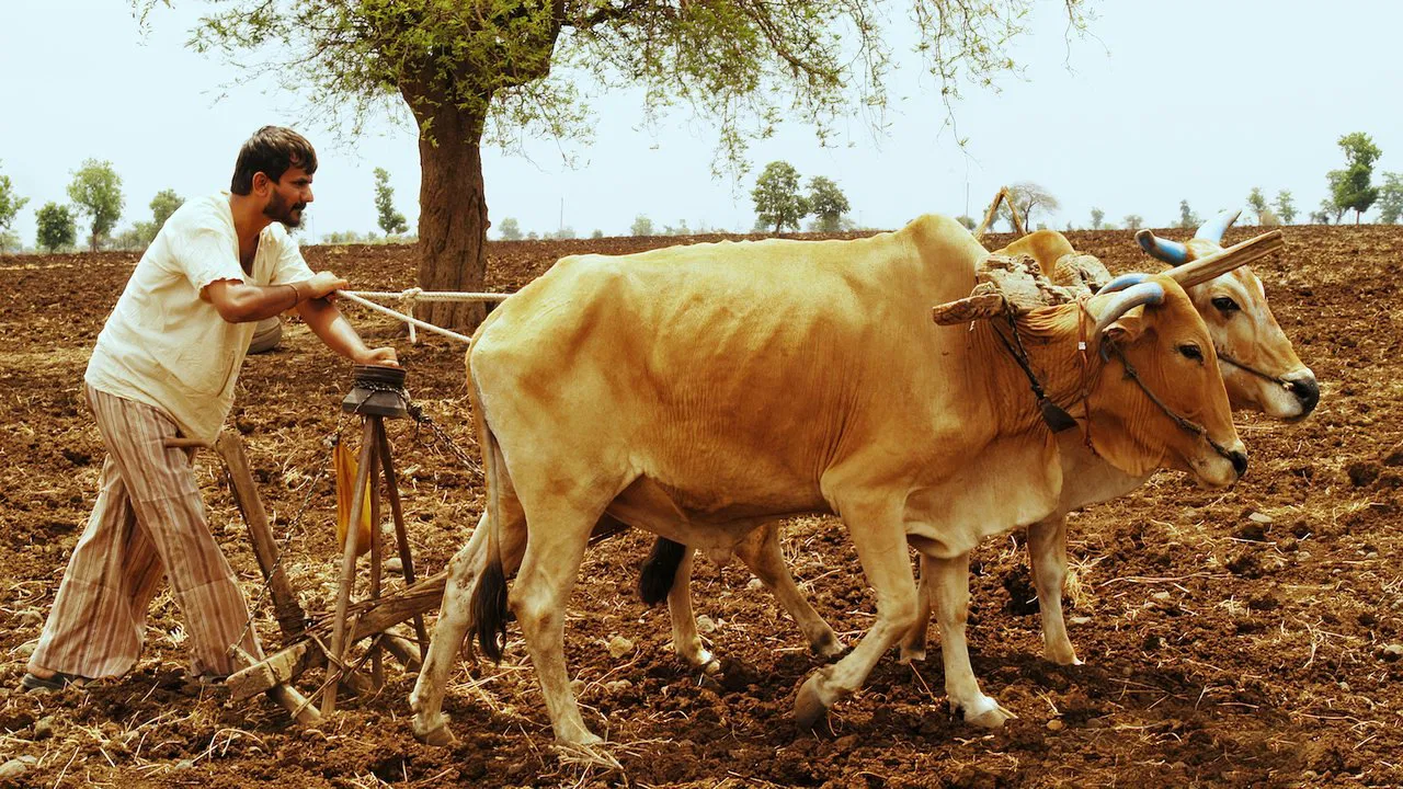 The Damned Rain backdrop