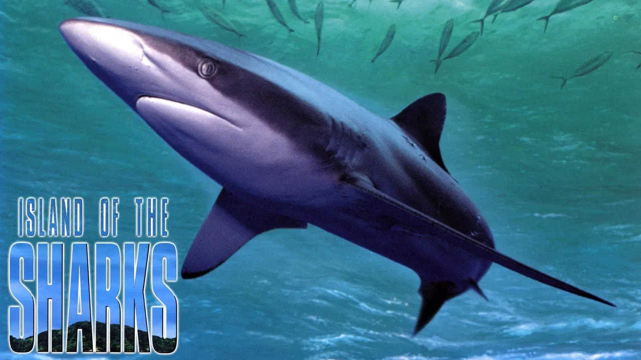 Island of the Sharks backdrop