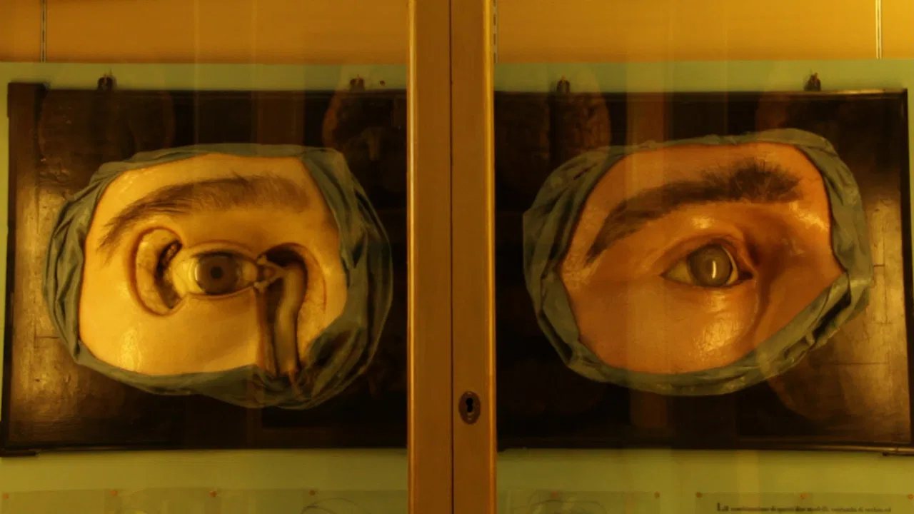 Chasing The Wind backdrop