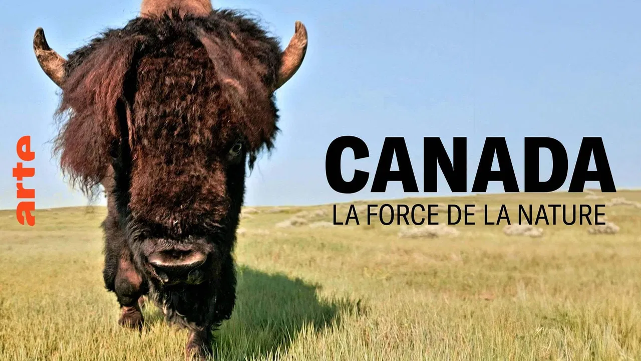 Canada, la force de la nature backdrop