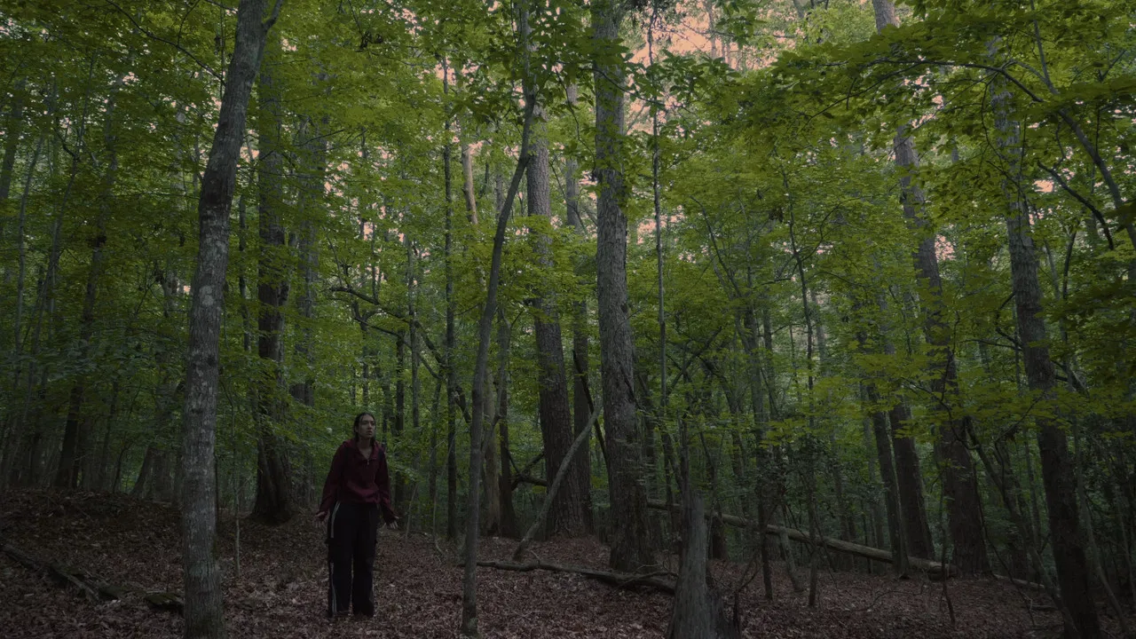 Echoes of the Absent backdrop