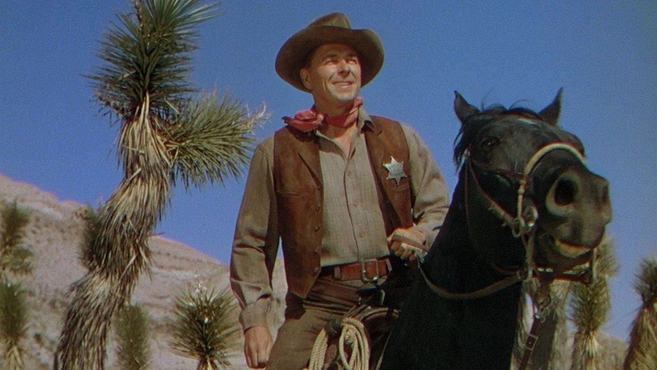 Law and Order backdrop