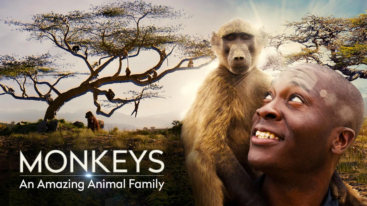 Monkeys: An Amazing Animal Family backdrop