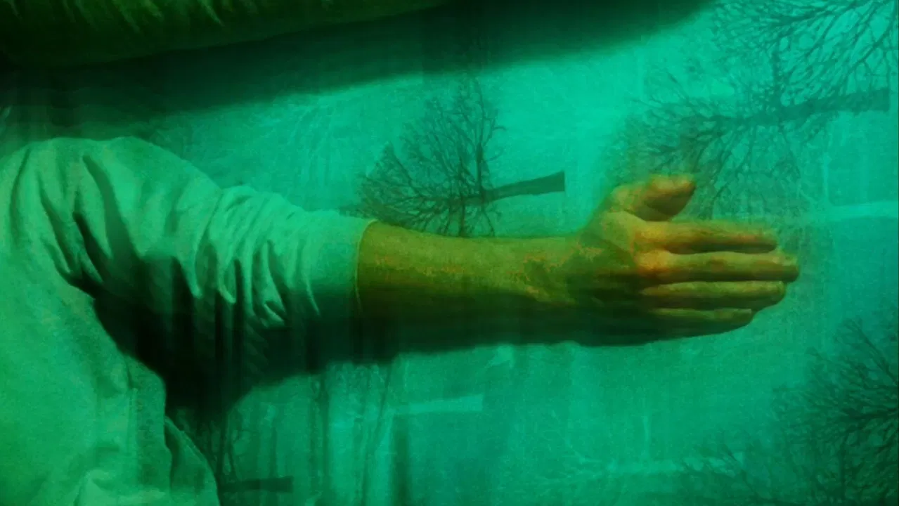 Days, Months, Years and Nothing Else backdrop