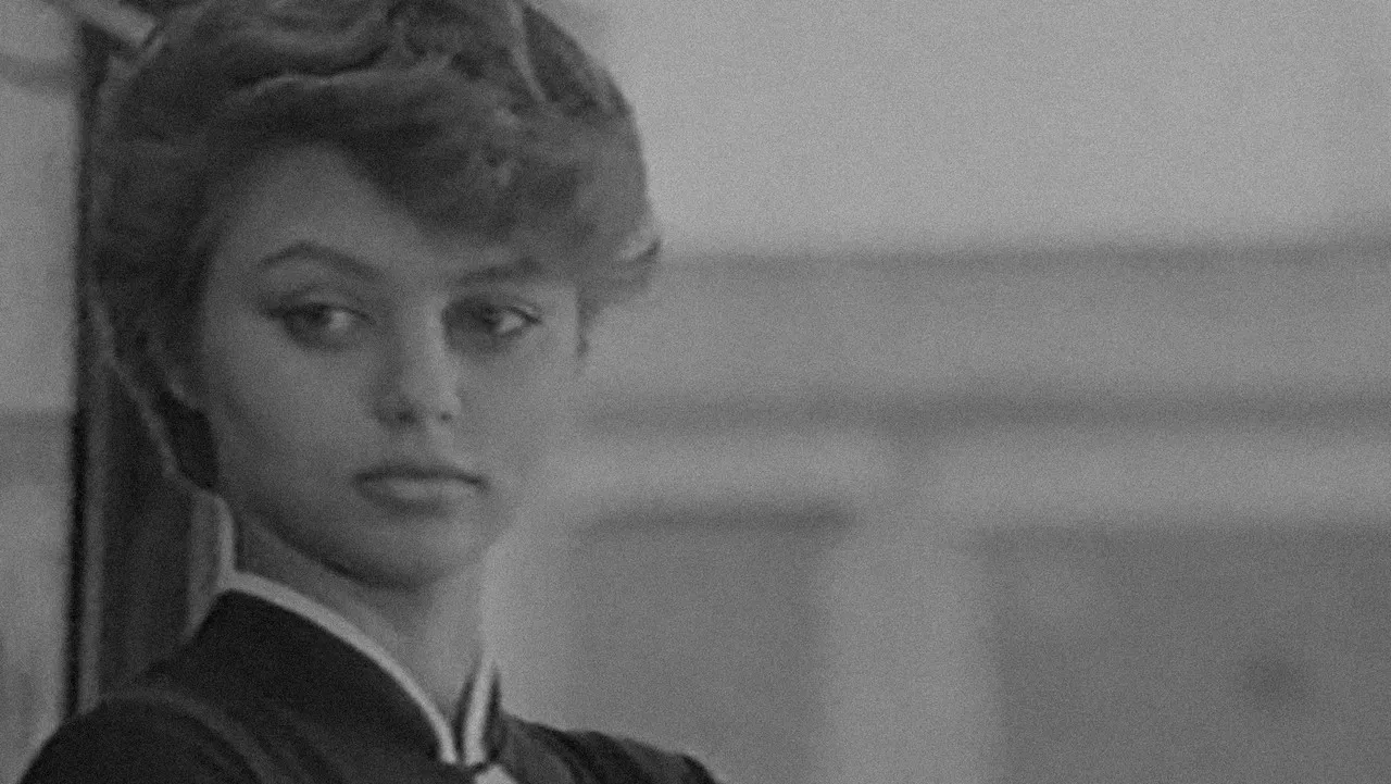 Learn to Dance backdrop