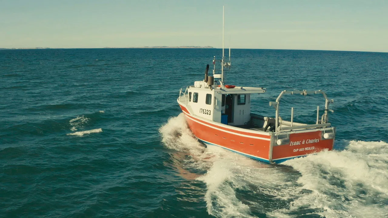 La course folle backdrop