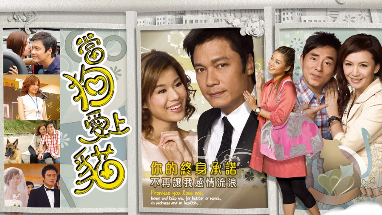 When a Dog Loves a Cat backdrop