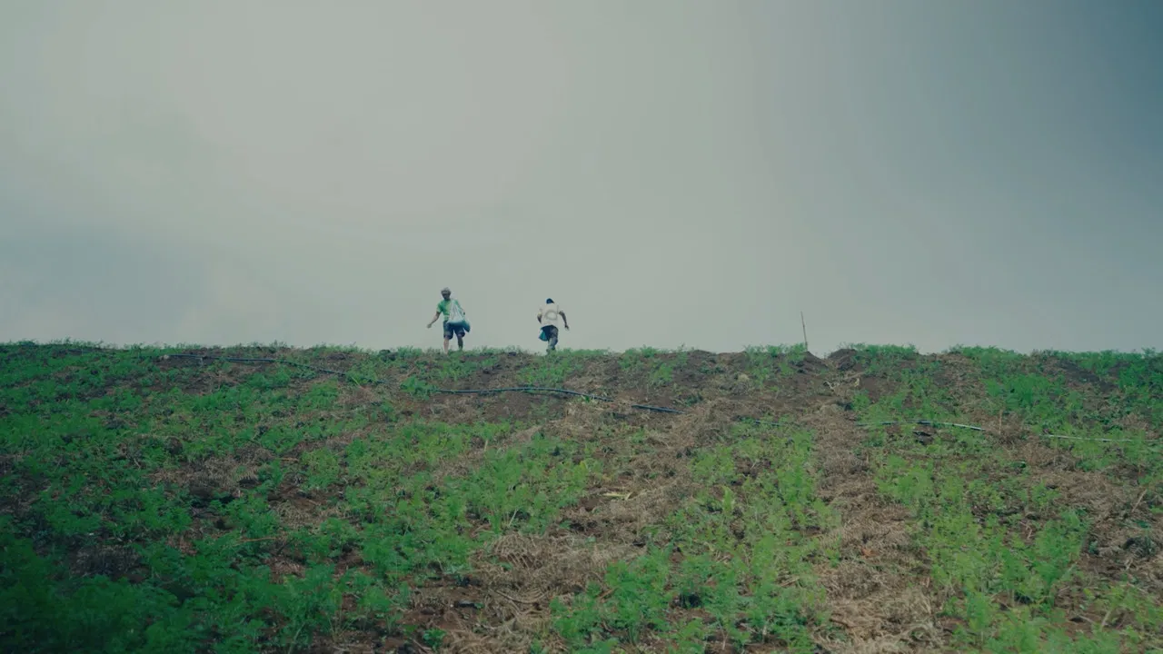 People of the Highlands backdrop