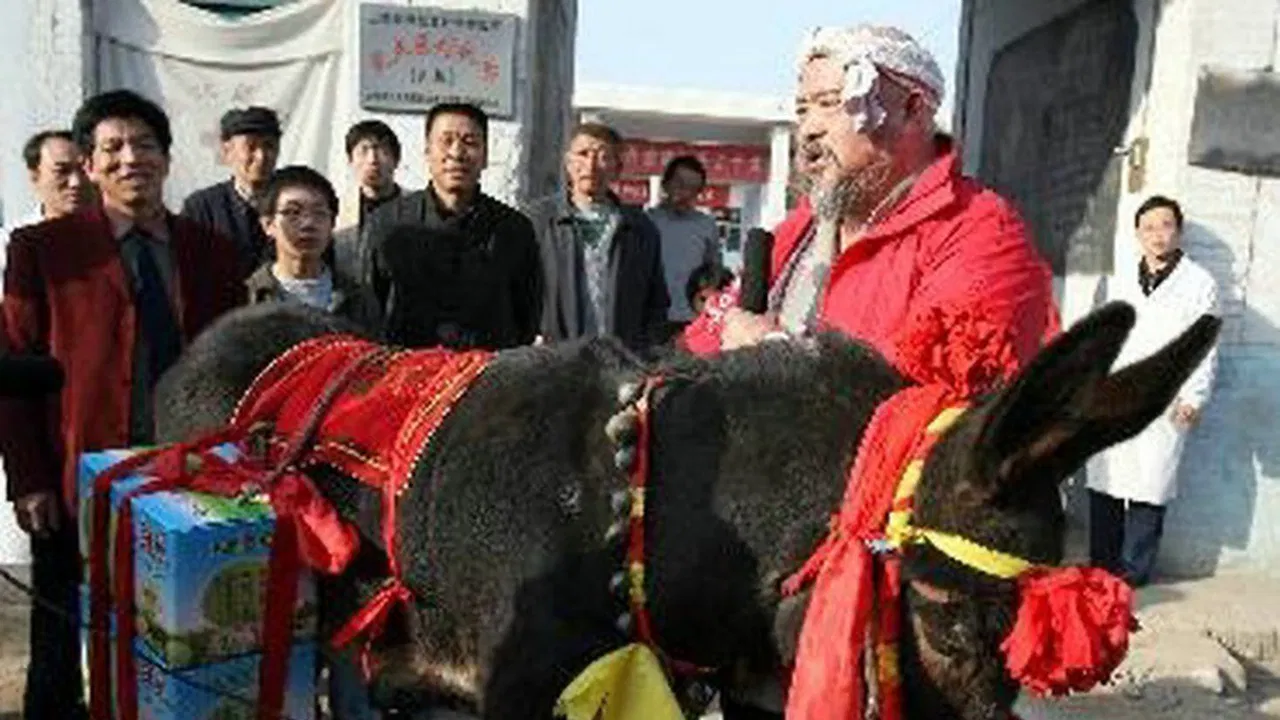 Blowing Niu Sanniu backdrop