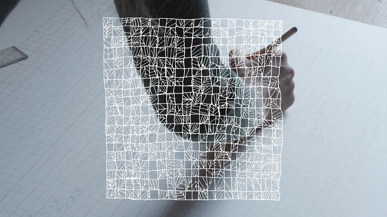 Square Fieldwork backdrop