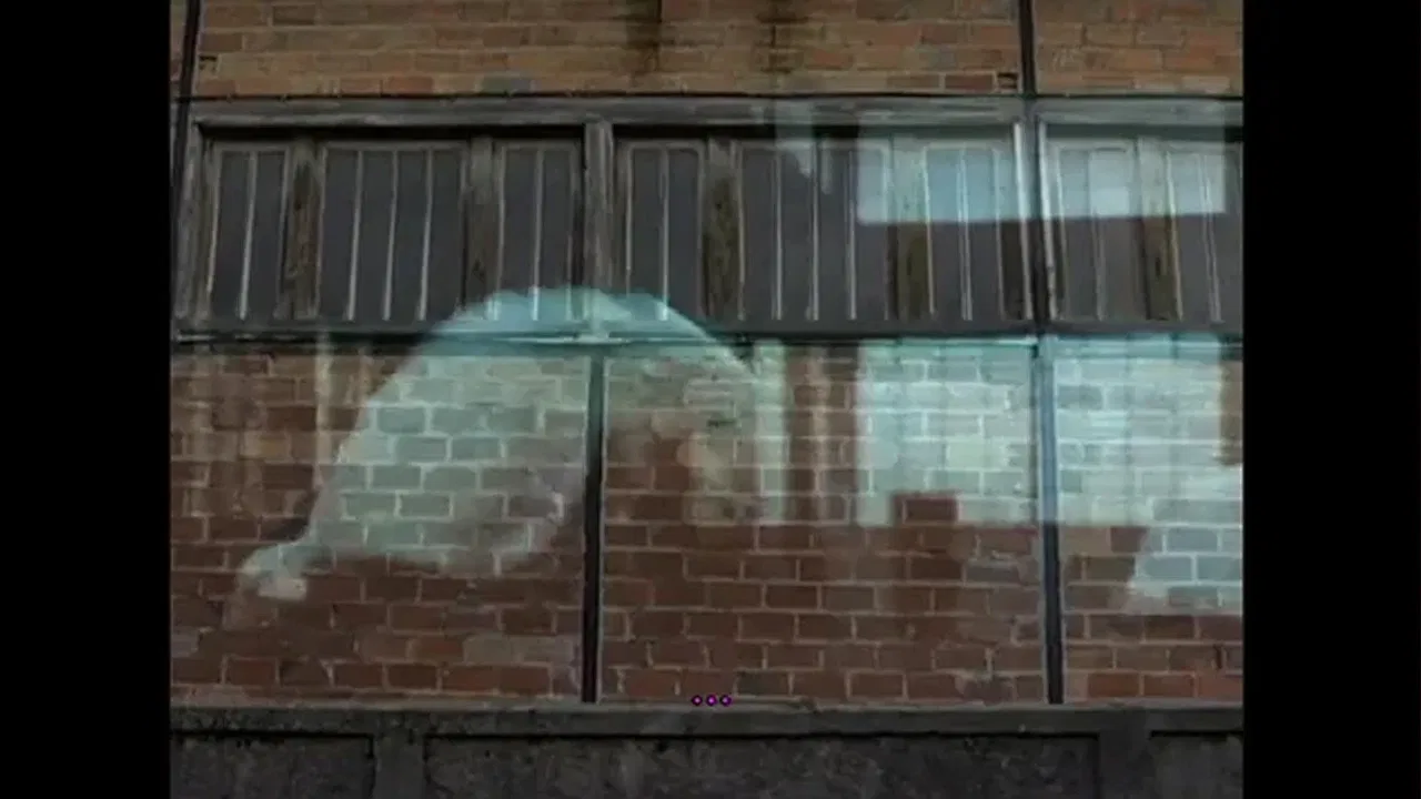 L'Homme qui danse backdrop