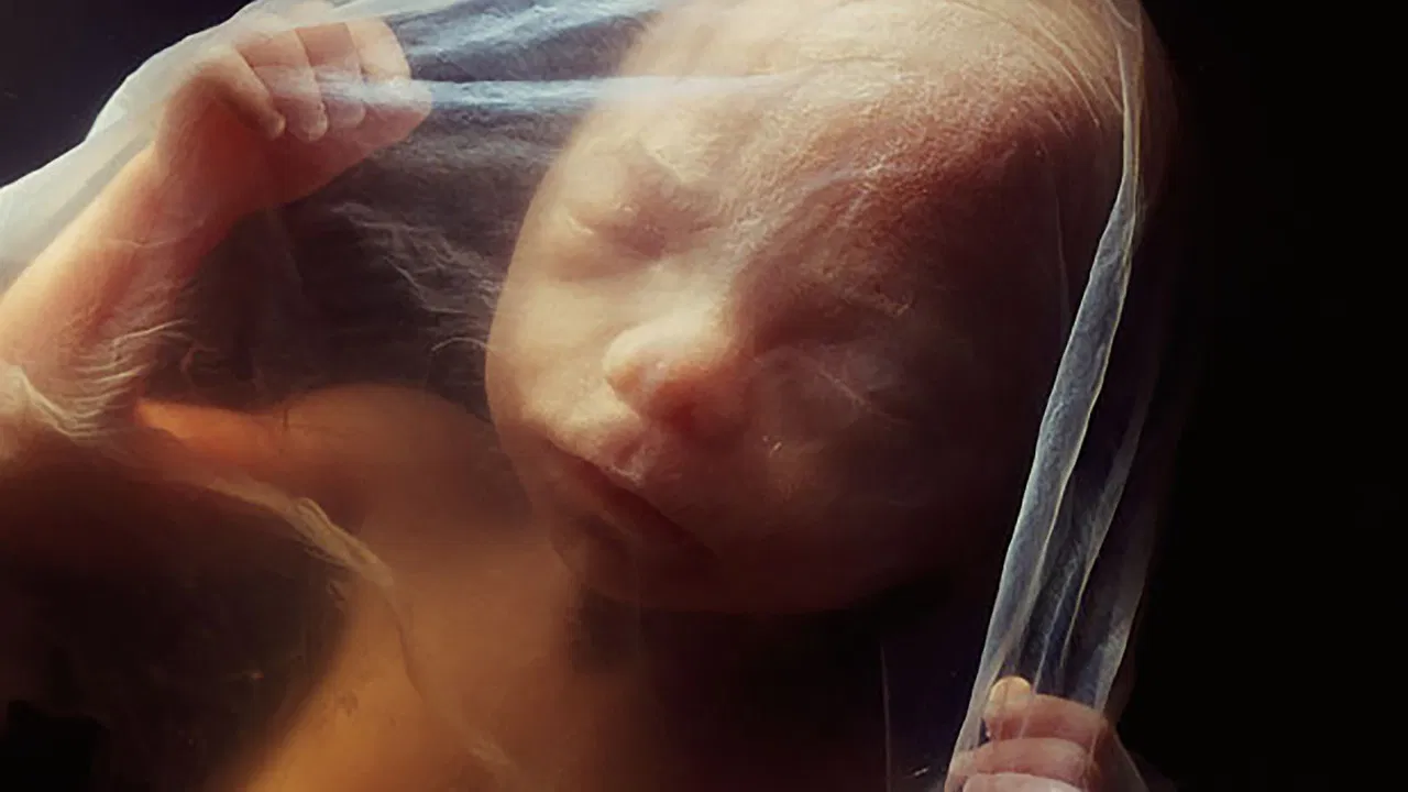 BRAVE NEW SWITZERLAND backdrop