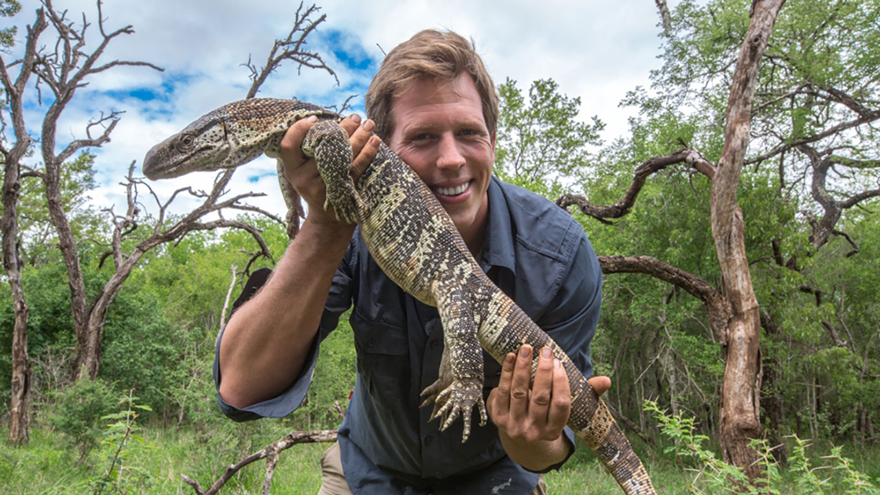Freek In Het Wild backdrop