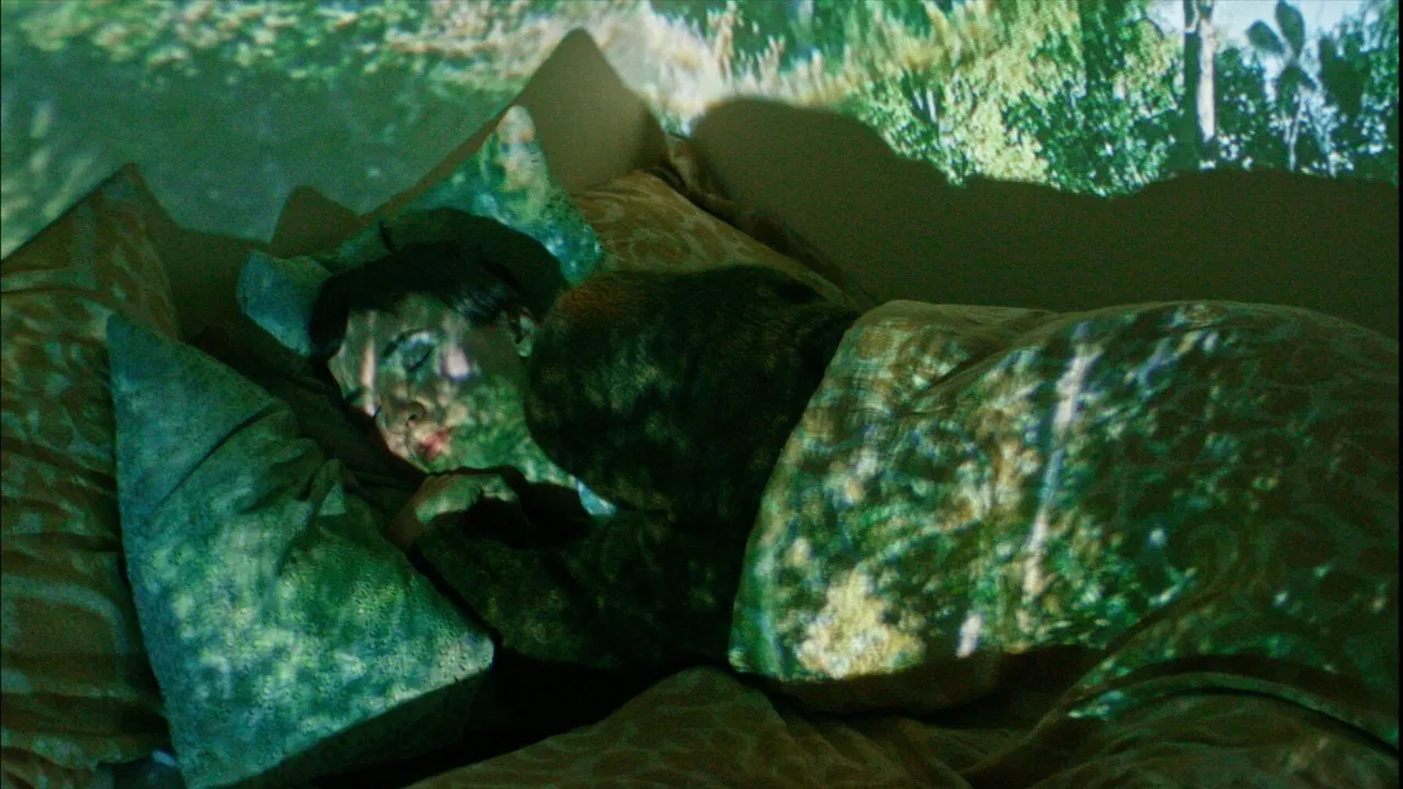 do you remember the trees? backdrop