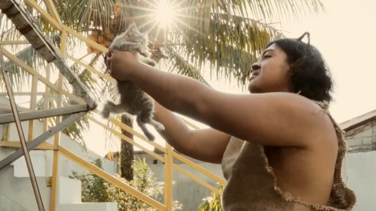 Mirooooooooo backdrop