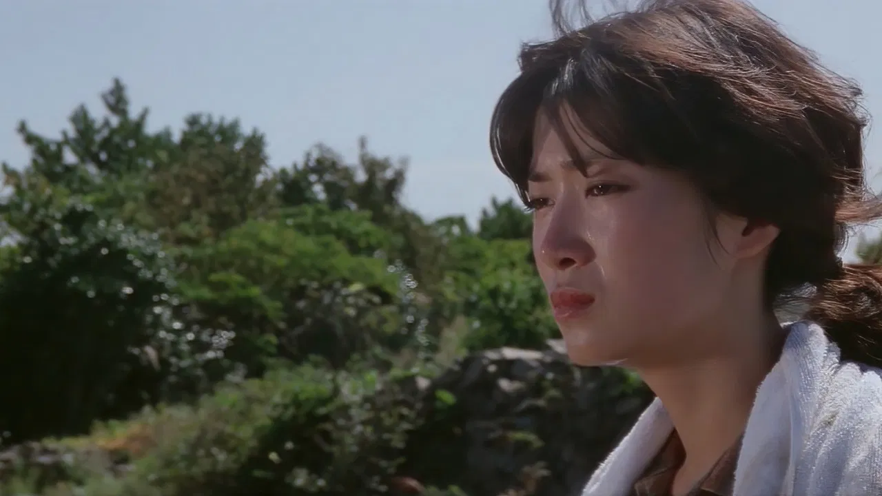 A White Feathered Gull backdrop