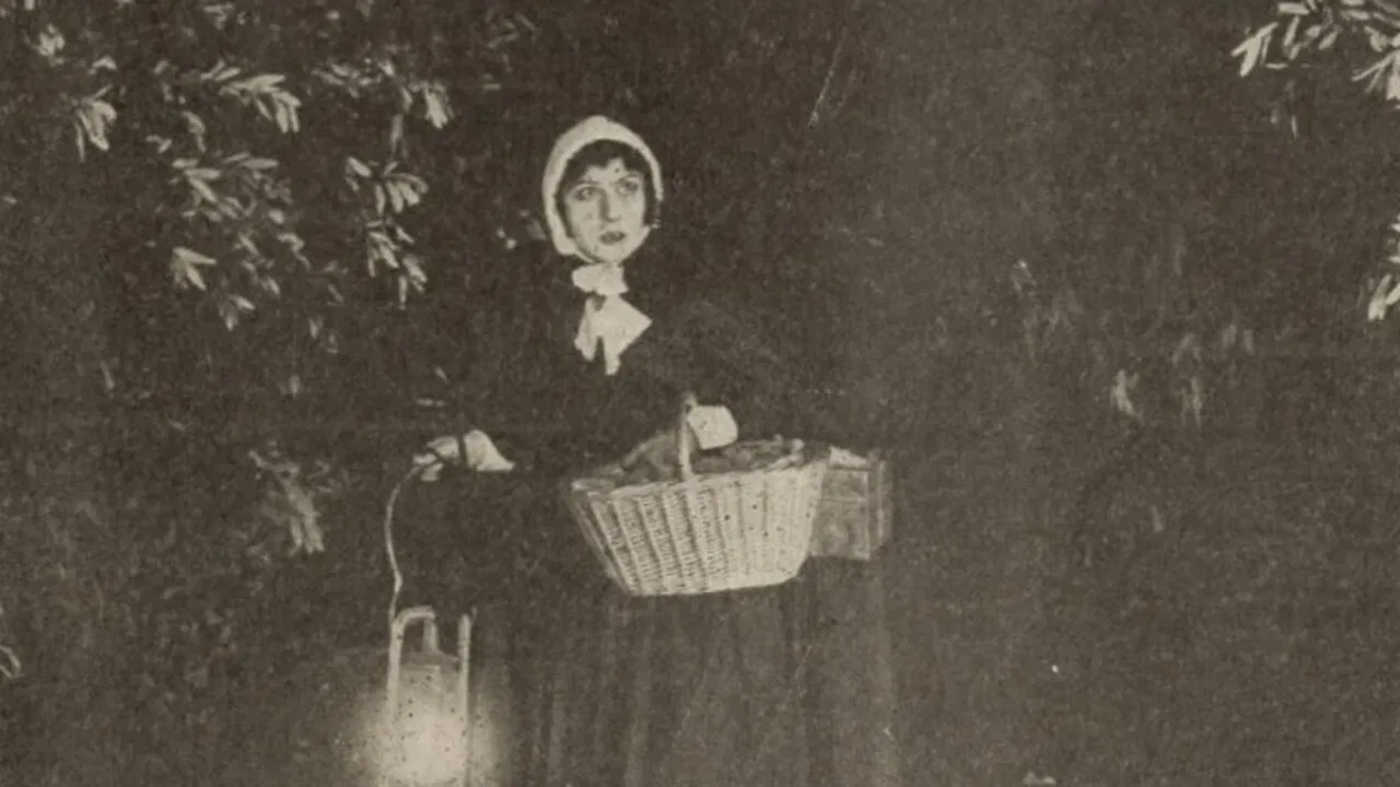 The Seekers backdrop