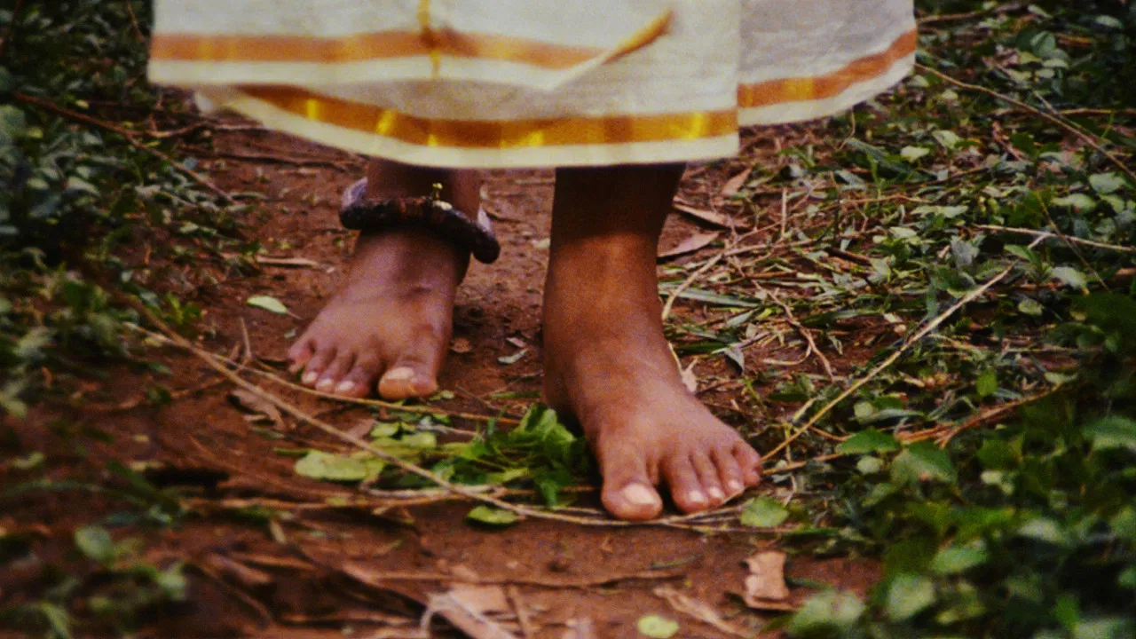 Bamboo Flute backdrop
