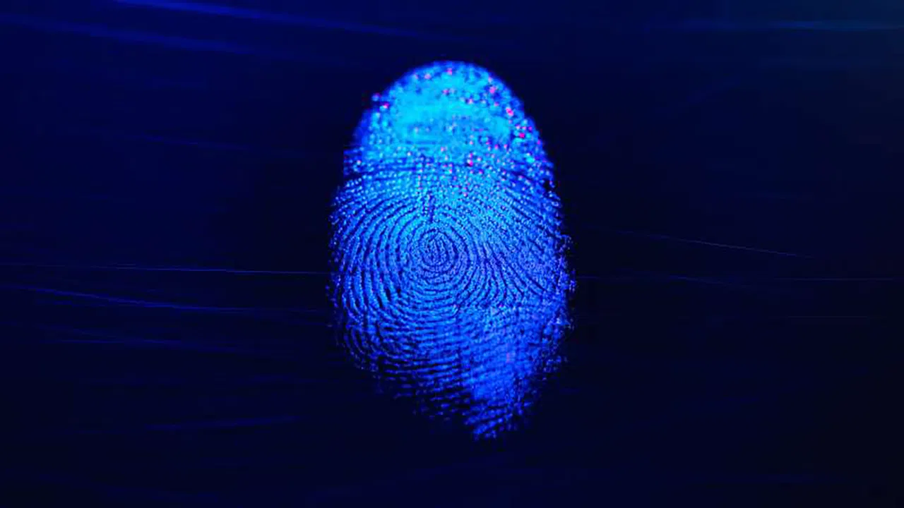 Extreme Forensics backdrop