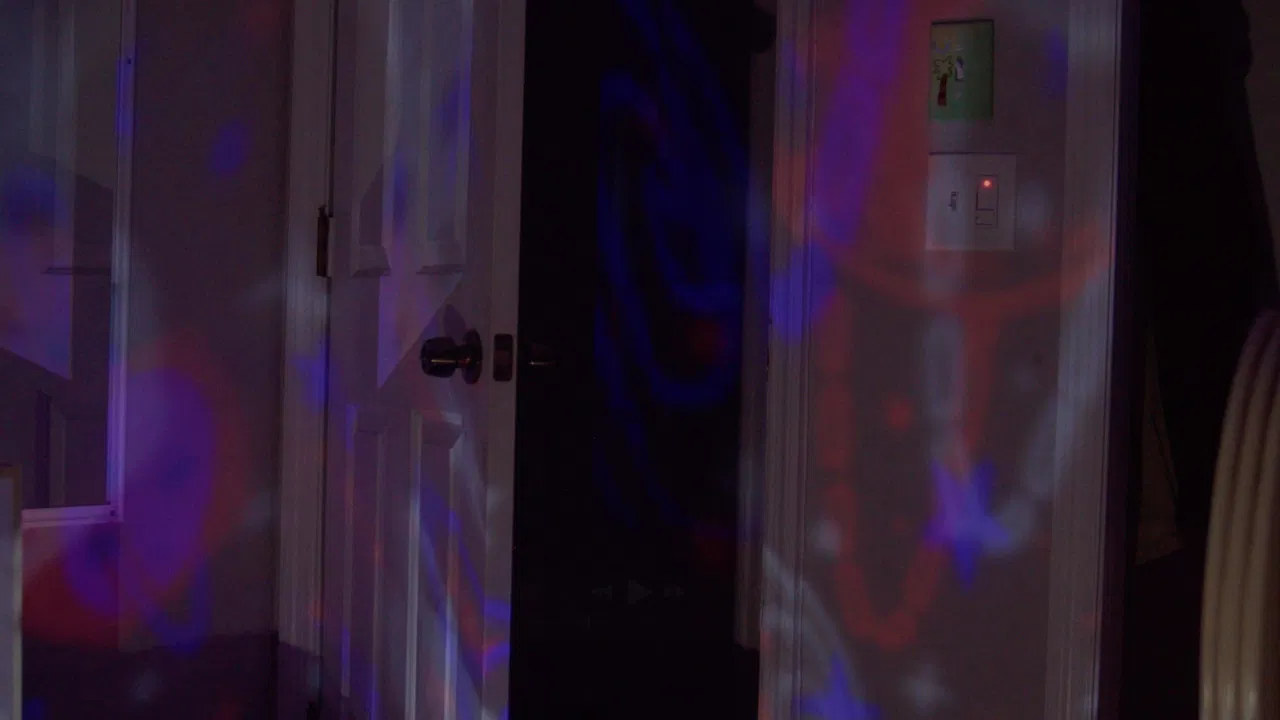 What Lucas Saw backdrop