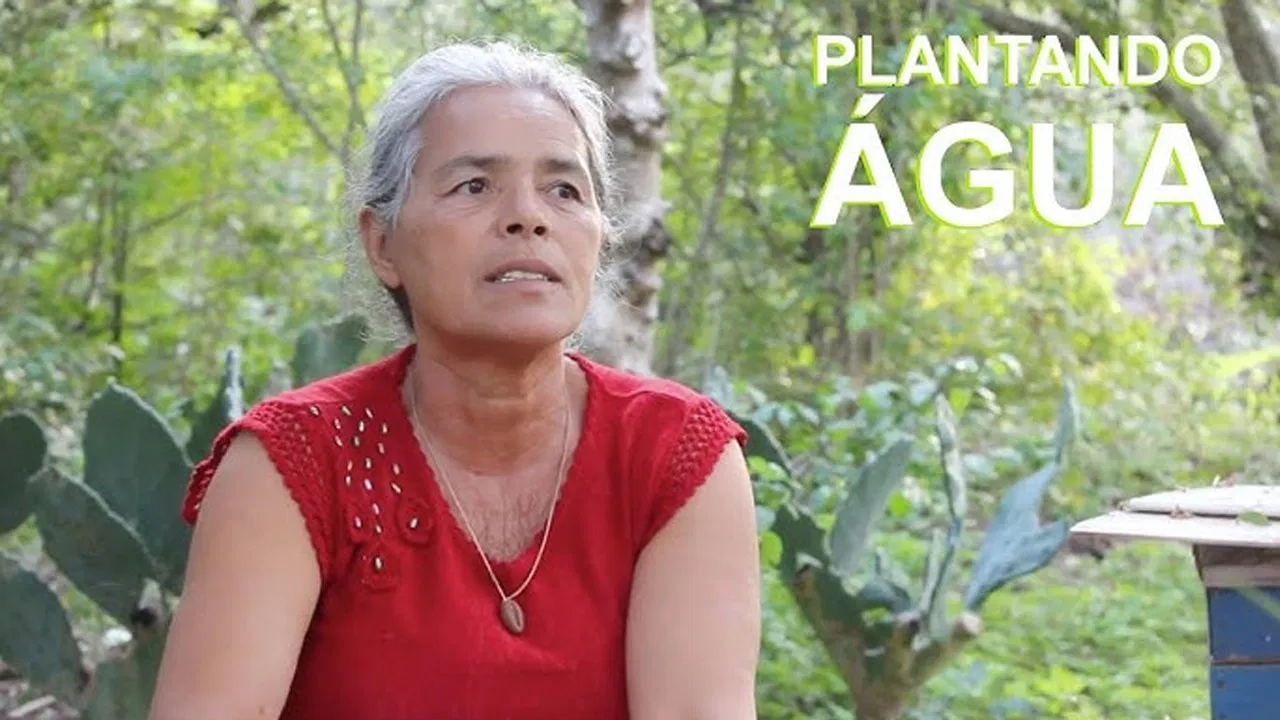 Plantando Água backdrop