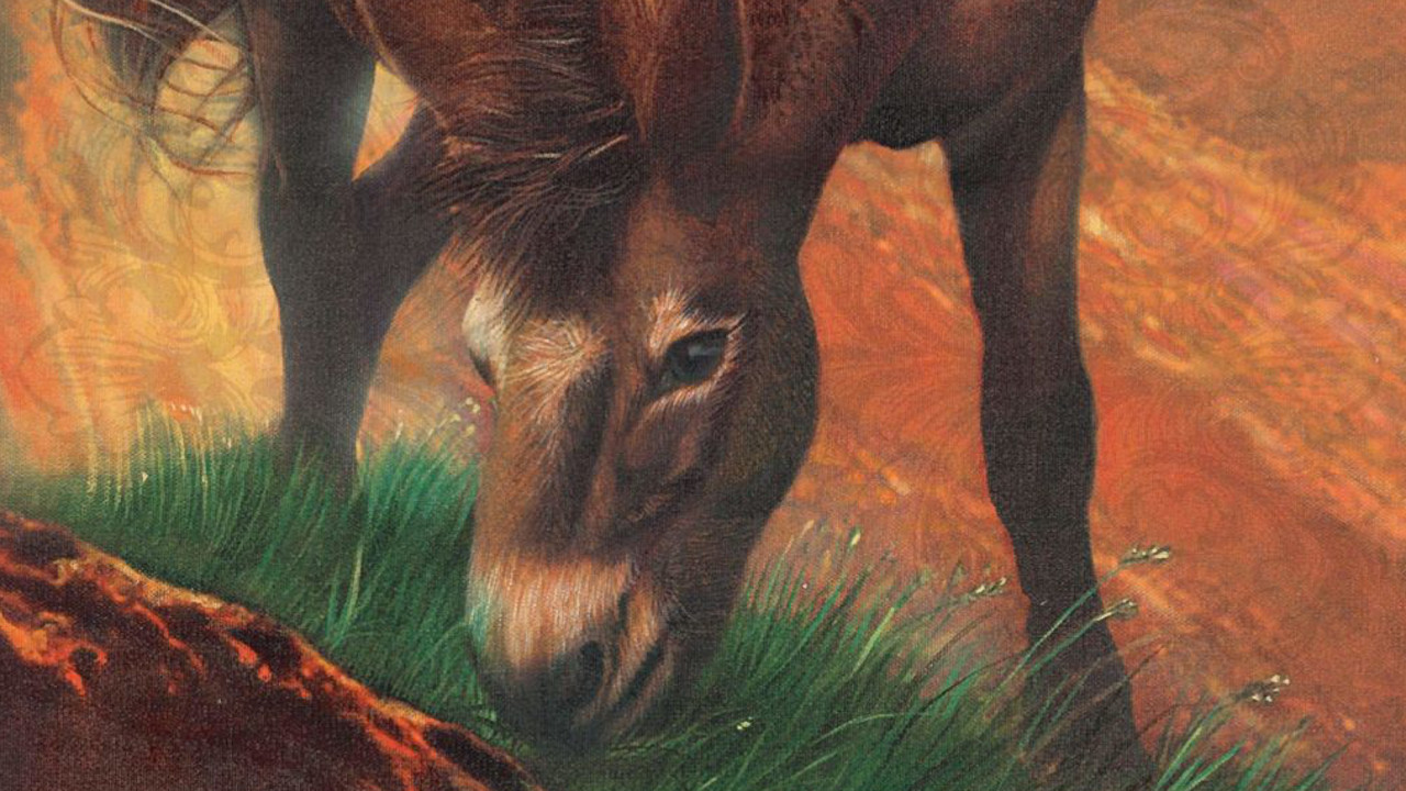 Brighty of the Grand Canyon backdrop