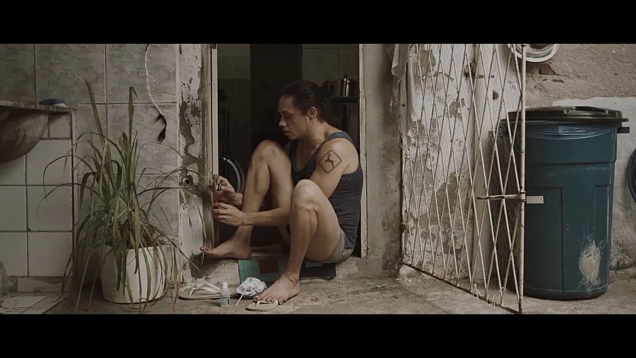 No Fim de Tudo backdrop