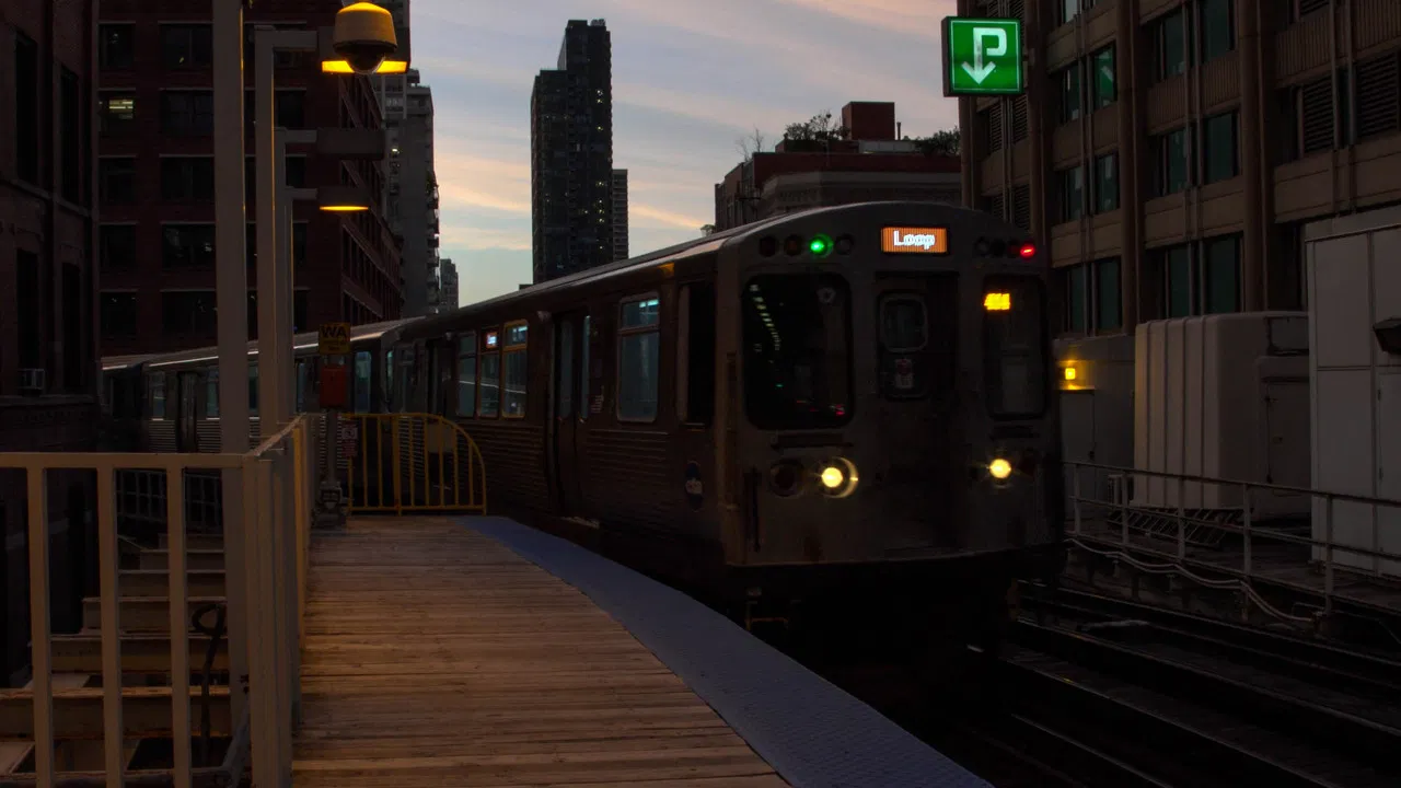 The Beauty of the L backdrop