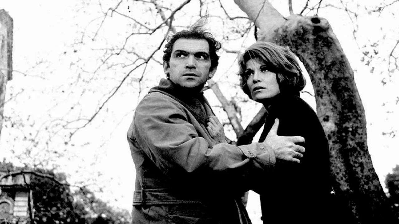 In the name of the law backdrop