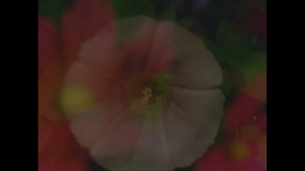 Now and in the time of our death backdrop