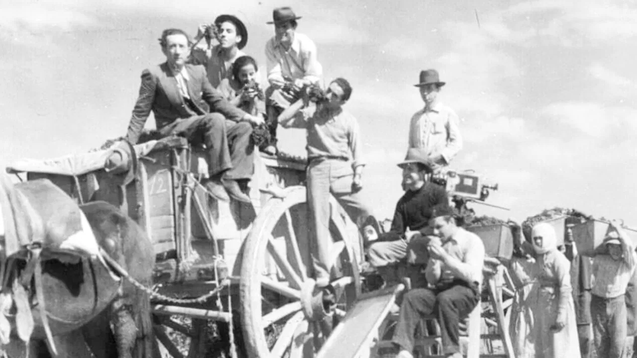 La barra mendocina backdrop