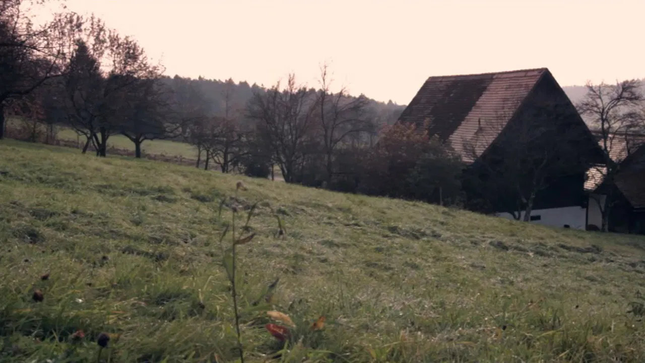 Strange Loop backdrop