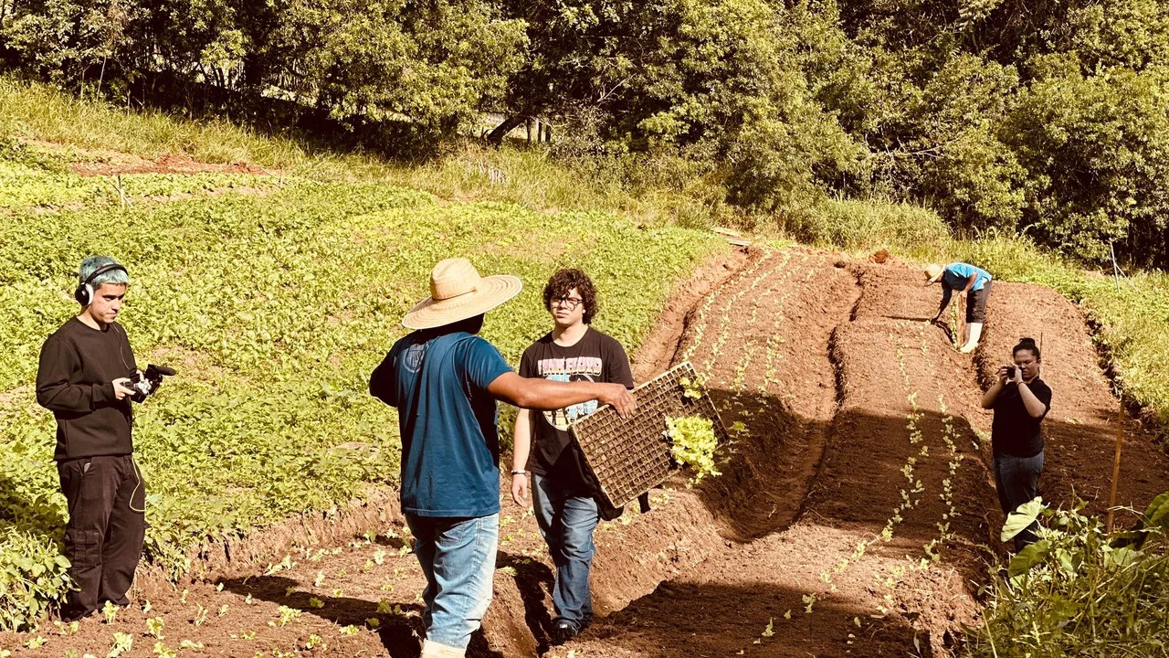 Tuesdays, Saturdays, Sundays backdrop