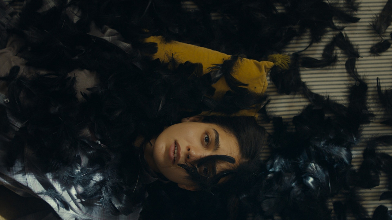 All the World Is Sleeping backdrop