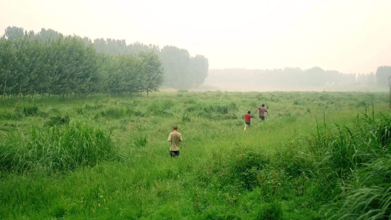 The Midsummer's Voice backdrop