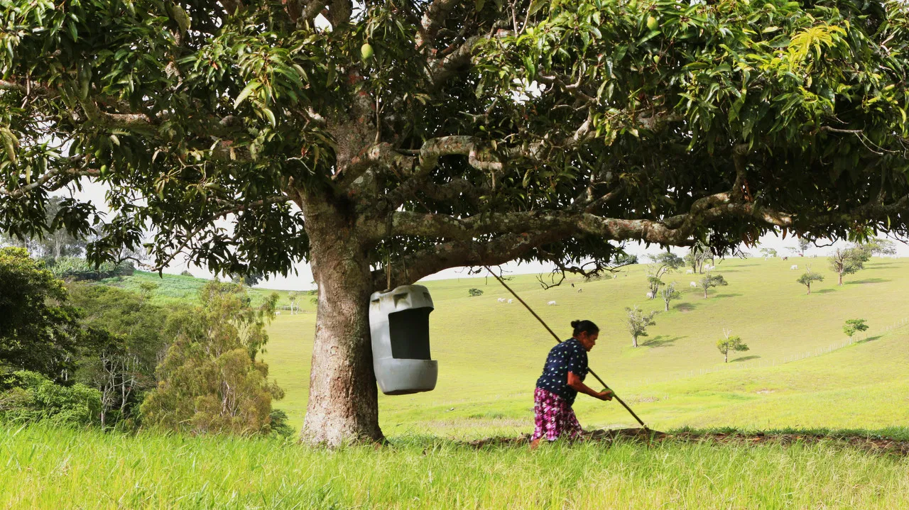 News from São Paulo backdrop