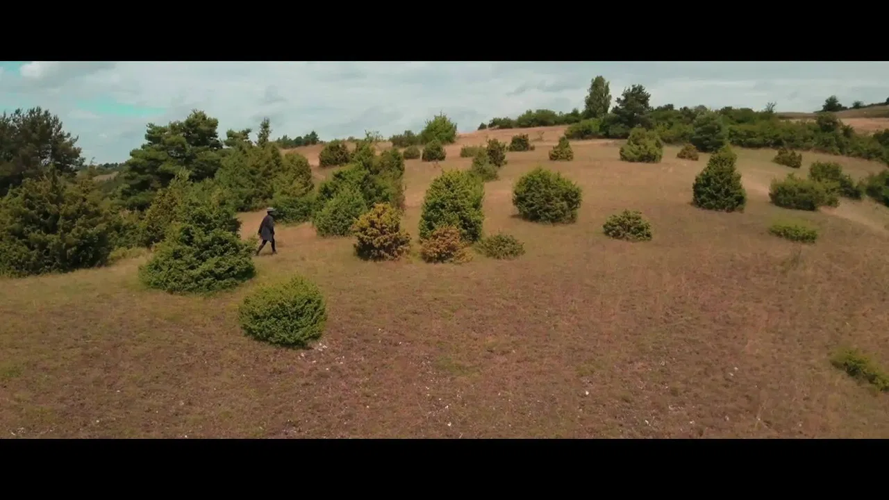 Wiebkes Weg backdrop