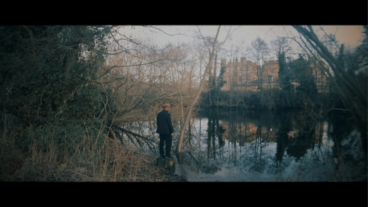 The Roots Of Its Own Kind backdrop