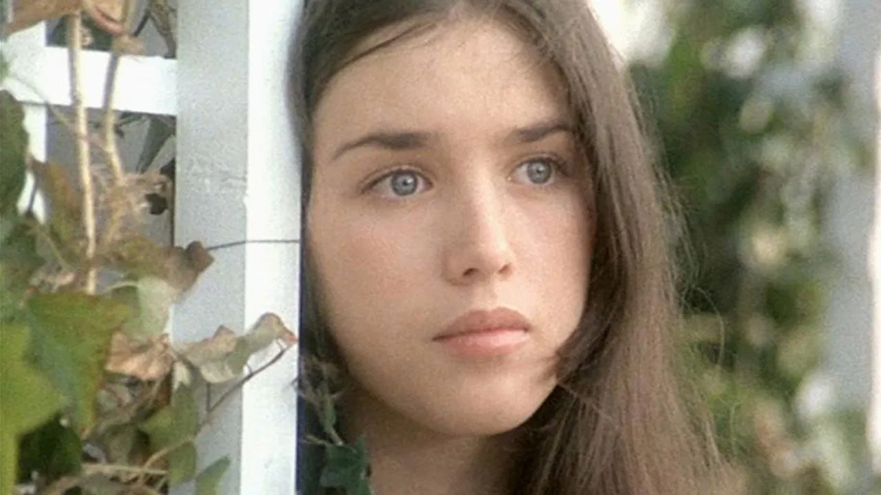 Faustine and the Beautiful Summer backdrop