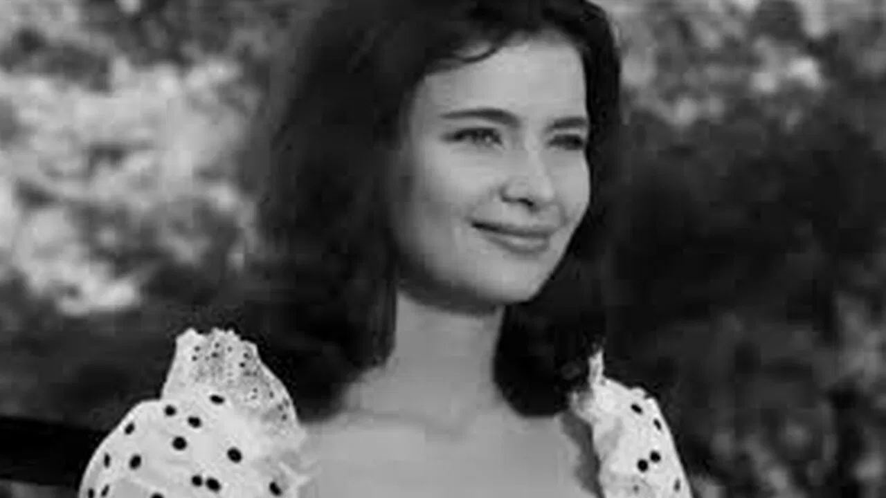 Snow White and the 7 Old Boys backdrop