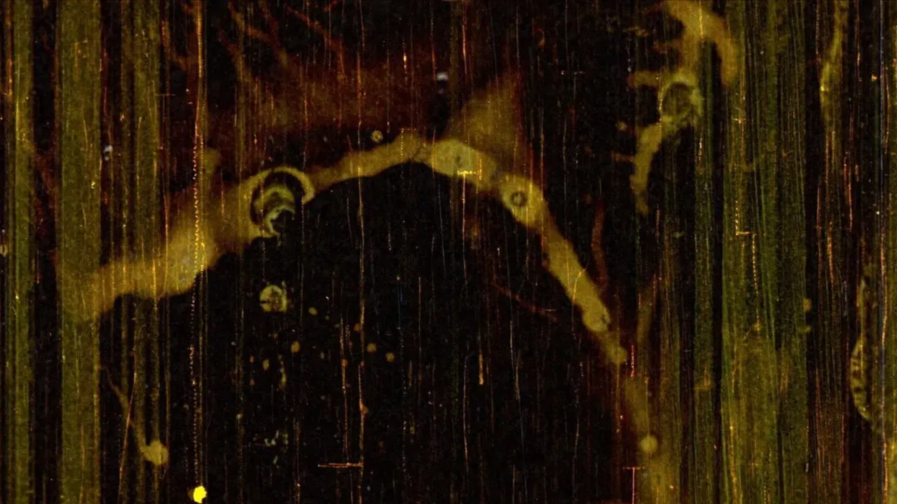 Emaki/Light backdrop