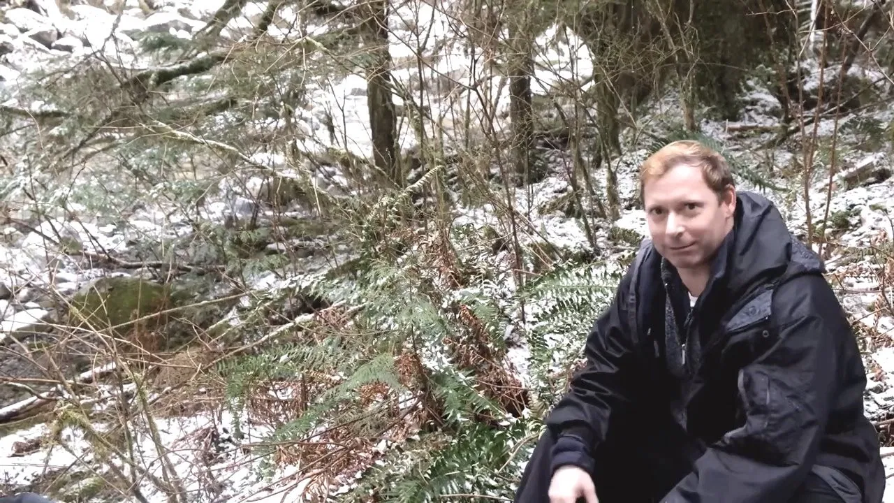 Searching for Sasquatch Chapter II  The Watchers backdrop