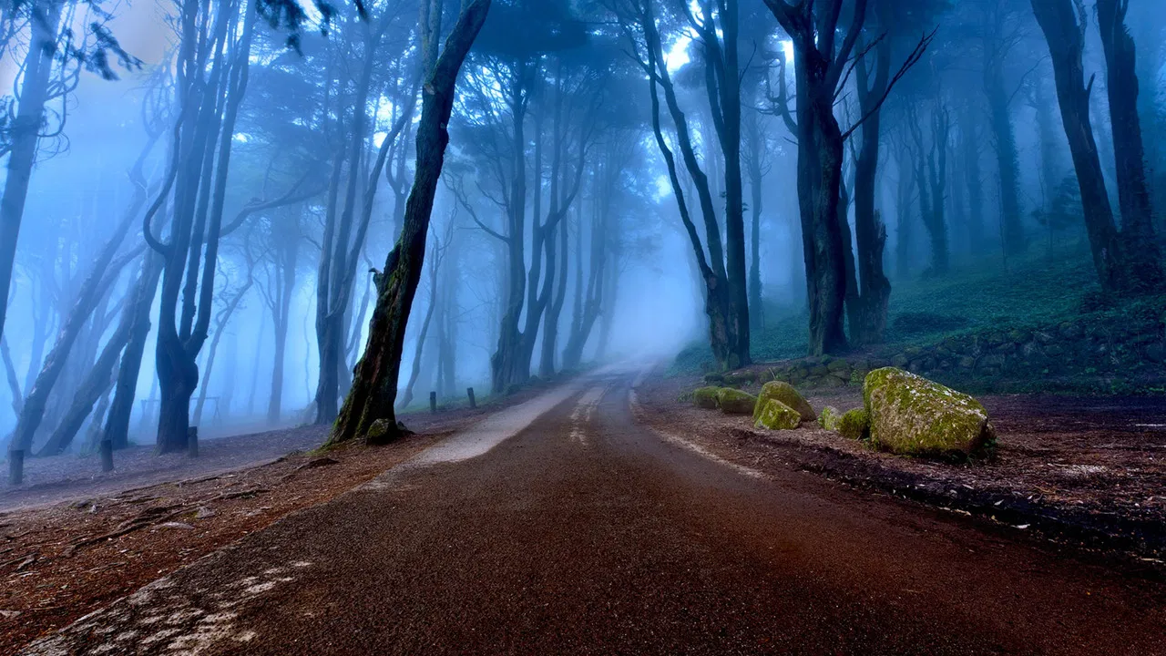 These Woods Are Haunted backdrop