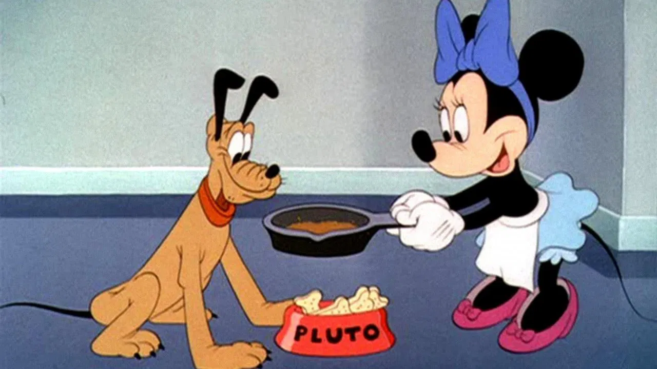 Out of the Frying Pan Into the Firing Line backdrop