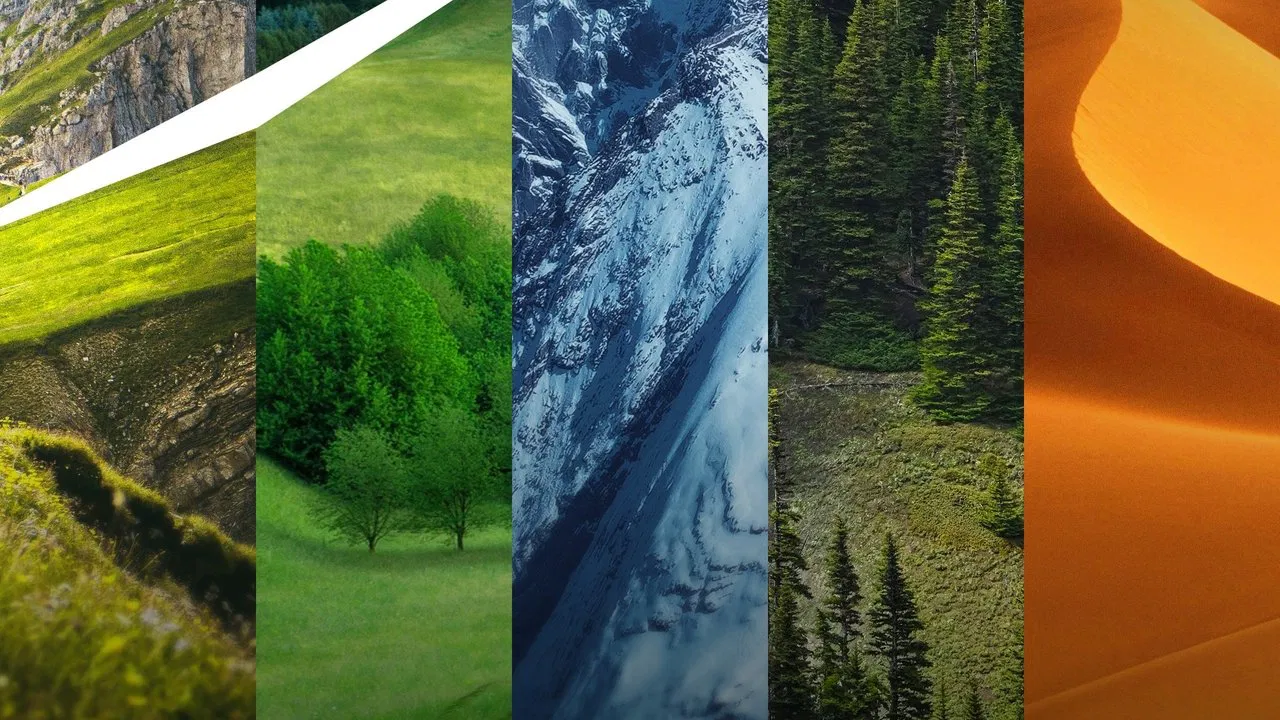 Wilderness Planet backdrop